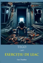 TEGO-Exercitiu de leac